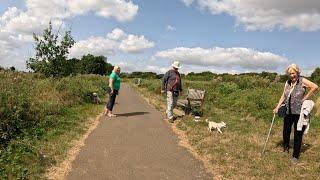 Relaxing London Nature Walk Along Idyllic Welsh Harp Reservoir ASMR