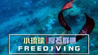 小琉球 | 厚石群礁 | 自由潛水 | FREEDIVING | VLOG-021