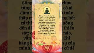 Lời Đức Phật Dạy Cách Rèn ĐỨC TÀI TRÍ TÍN Hiệu Quả #lờiphậtdạy