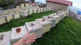 Подогрев в семьях и нуклеусах от А до Я.  7.04.2021 год.