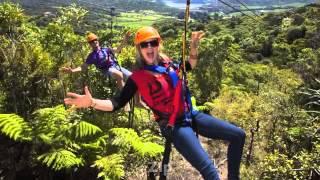 Zip, Wine & Dine with EcoZip Adventures, Waiheke Island