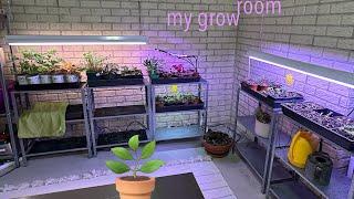 • inflation proof budget gardening • free plants •  (cuttings) ️ • plant propagation • grow room