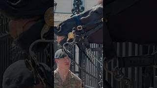 SMILING HORSE SPRAYS SOLDIERS FACE | Horse Guards, Royal guard, Kings Guard, Horse, London, 2024