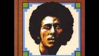 Bob Marley and The Wailers - All In One