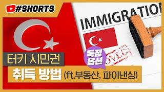빠르고 간편한 터키시민권 취득방법(feat. 터키부동산투자, 터키파이낸싱)