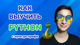 Как выучить Python самостоятельно БЕСПЛАТНО? Лучшие курсы, сайты, ресурсы. Python для начинающих