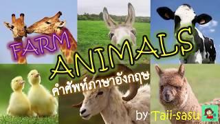 farm animals (สัตว์ 1)