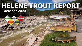 The FUTURE of Trout Fishing in NC (Post-Helene Report)