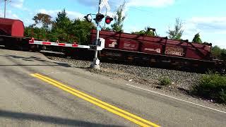 I Was Filming a Train And This Happened! NS and BNSF Trains With DPU Alrights Big CSX Manifest Train