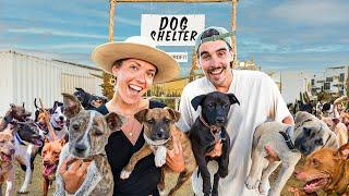 We Built a Dog Shelter in 30 Days