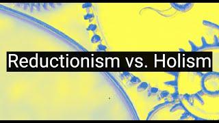 Reductionism vs. Holism: Battle of Philosophical Methodologies