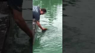 Man catches catfish using only a watermelon