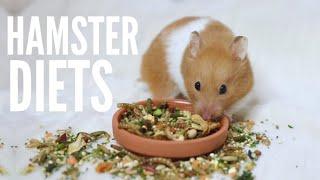 What To Feed Your Hamster | Hamster diets