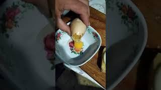 яйцо с тремя желтками