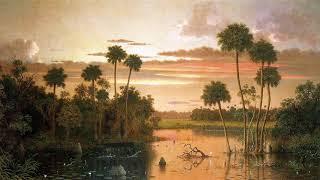 Художник Martin Johnson Heade.  Пейзажи
