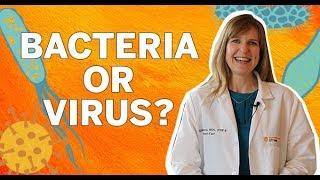 Difference Between Viral and Bacterial Infections