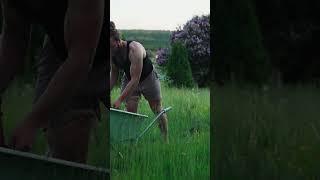 Planting the first apple trees on the farm 