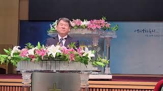 겨자씨와 누룩의비유