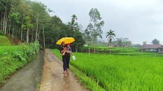 TAK DISANGKA, Hujan Tiba-Tiba Turun DiKampung Yang Super Indah,Udaranya Dingin | Pedesaan Jawa Barat