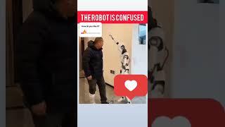 When Robots Get Confused...