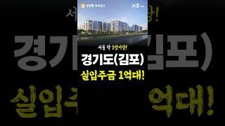1억원대로 자이 아파트 줍줍