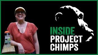 Inside Project Chimps: Chimpcation with Mindy