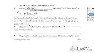 Guardianship of Minor Packet