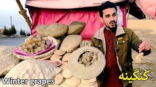 Winter Grapes in Kabul | Kangina | د ژمي انګور