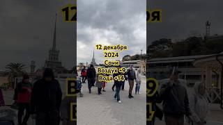 Вот такая зима в Сочи #сочионлайн #сочи #сочисейчас