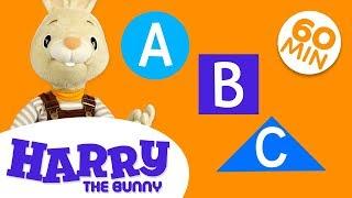 Learn New Words with Harry | Learn English Vocabulary for Kids Compilation | Harry the Bunny