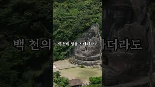 바른 견해는 제일의 도 #부처님 #명언 #진리