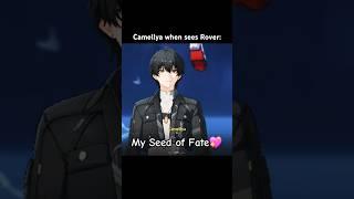 Camellya with Rover be like [ Wuwa memes ] #camellya