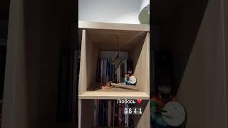 Не откладывай на потом, люби себя сейчас. Ну и других люби, если есть желание 