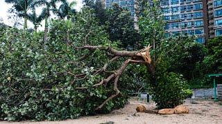 Hong Kong faces large clean up job following Typhoon Saola