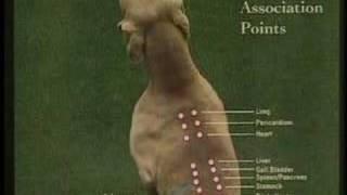 Veterinary Acupuncture