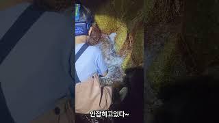 7살의 조과실패 절규장면 #해루질