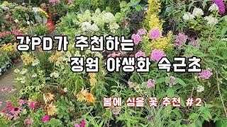 야생화 추천 2편~ 과천,남사 야생화 맛집은 정보는 영상 마지막에~  /정원/조경/