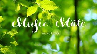 A day full of greenHealing music in nature, Stress relief music, Meditation music.