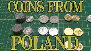 Looking Through Some Polish Coins