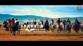 Tibetan new song by Sharba 2019 ༼  འབྲོག་ལམ་རིང་མོ།༽
