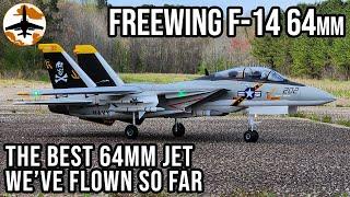 RC Jet PERFECTION - Freewing F-14A Tomcat Twin 64mm