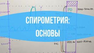 ДЫХАНИЕ: Спирометрия / Легочные объемы / Функция внешнего дыхания (ФВД)