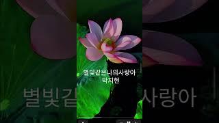 #박지현#별빛같은나의사랑아