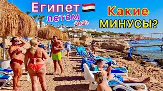 Минусы отдыха в Египте ЛЕТОМ  Чем ОПАСЕН Египет в июне, июле и августе? Стоит ли ехать в ЖАРУ?