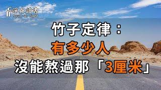 99%人都不知道的「竹子定律」，卻是一個人走上坡路的關鍵！看懂的，比中彩票還賺【深夜讀書】