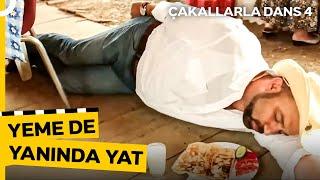 Gözlemenin Patateslerini Yeni Mi Ektiniz? | Çakallarla Dans 4