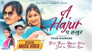 A HAJUR (Samjhu Nahi Birsu) - Rabin & Samikshya Chaudhary || Manoj, Neha || Latest #tharu Song