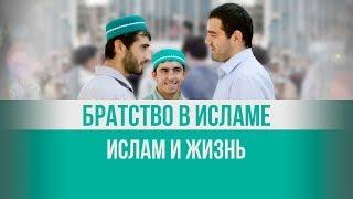 Братство в исламе. Ислам и жизнь