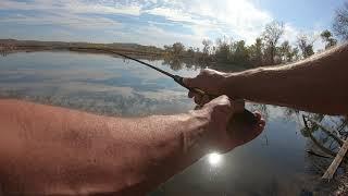 fall trout fishing