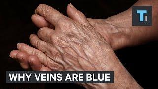 Your blood is red, so why are your veins blue?